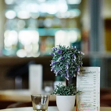 Osrodek Wypoczynkowy Familifan منتجع دجيفنوفيك