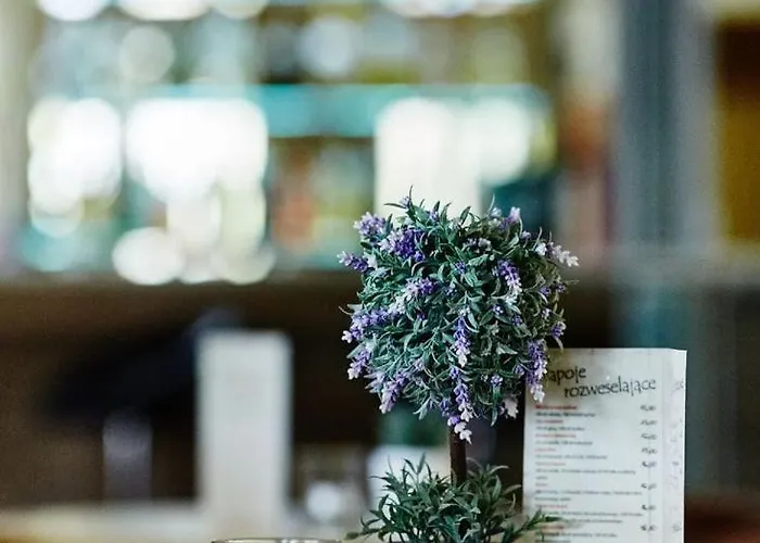 Osrodek Wypoczynkowy Familifan Resort Dziwnówek